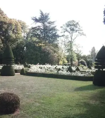 rognage de souche à Le Mans - image 3