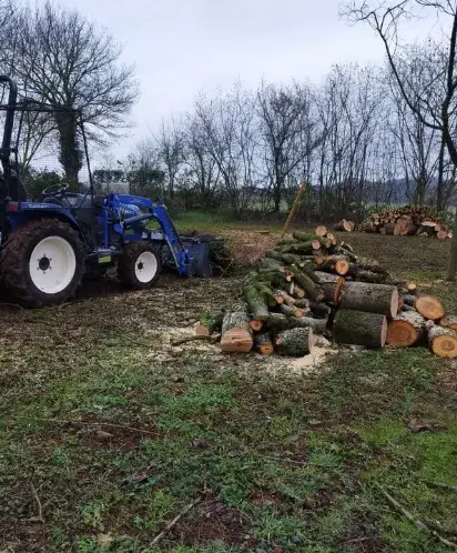 tailleur de haies Beaumont-sur-Sarthe-1