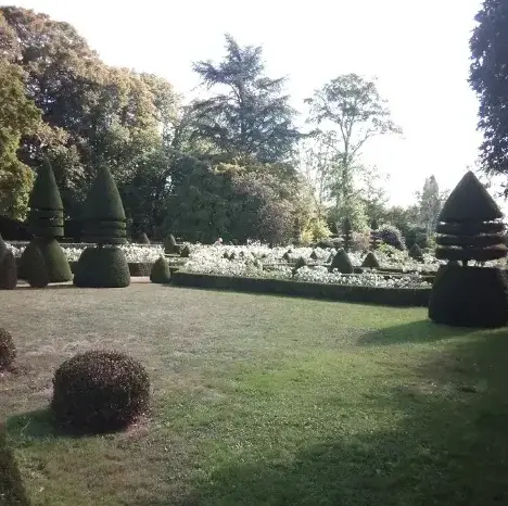 tailleur de haies à Beaumont-sur-Sarthe - image 4